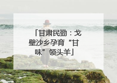 甘肃民勤：戈壁沙乡孕育“甘味”领头羊